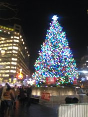 Campus Martius - Christmas tree