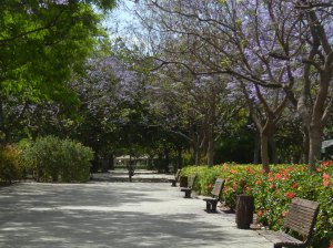 Turia Gardens