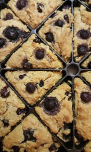 Blueberry scones (gluten-free); sweetened with coconut nectar