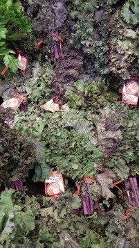 20150628_162356 copy