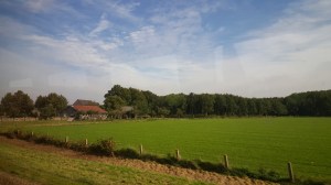 Farmland en route to Amsterdam