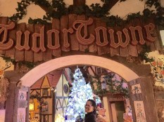 Tudor Towne entrance