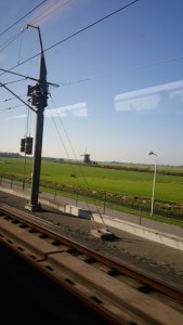 windmill in distance