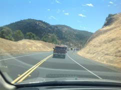 Foothills en route to Yosemite