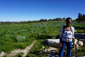 10-lakes-hike-meadow-yosemite