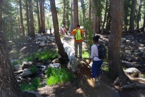 stream-crossing-yosemite